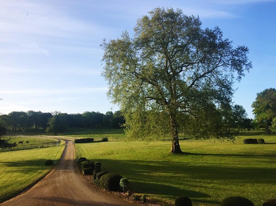 Hotel Haras De La Potardiere Crosmieres Exterior photo